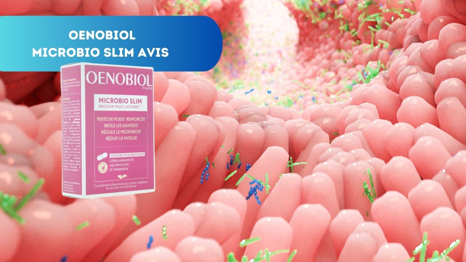 Oenobiol Microbio Slim Avis : Votre Allié Minceur Naturel