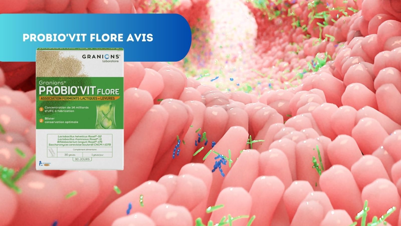 Avis sur Probio'vit Flore de Granions : une révolution pour votre digestion?