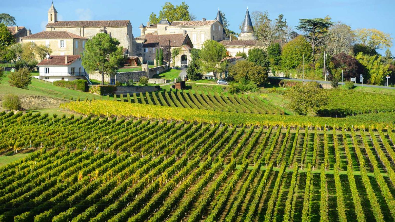 9 975 km², ce département est le plus grand de France et il a les meilleurs vins