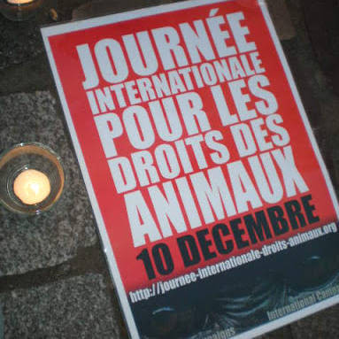 Journée internationale pour les droits des animaux