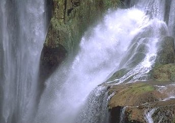 Journée Mondiale de l'eau