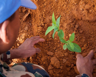 Journée Internationale pour la préservation de l'environnement en temps de guerre