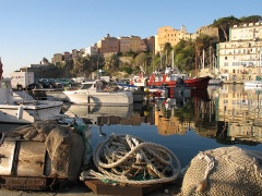 Journée mondiale de la Corse