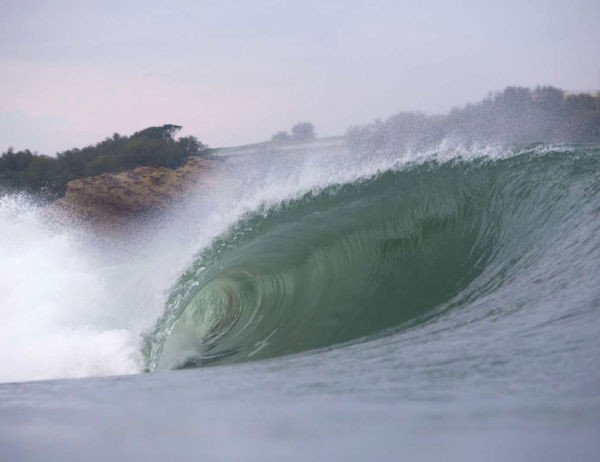 Journée internationale du surf