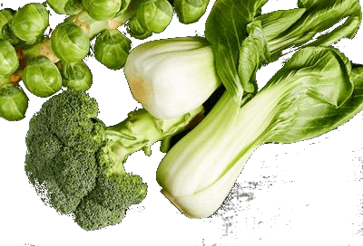 Journée internationale des légumes verts