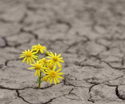 Journée Mondiale du Climat