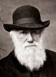Journée internationale Darwin