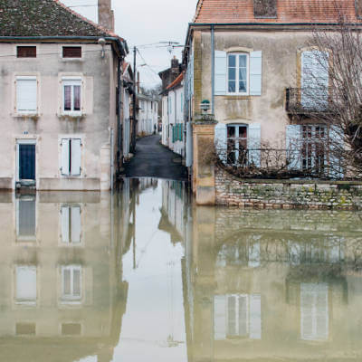 Journée nationale de la résilience