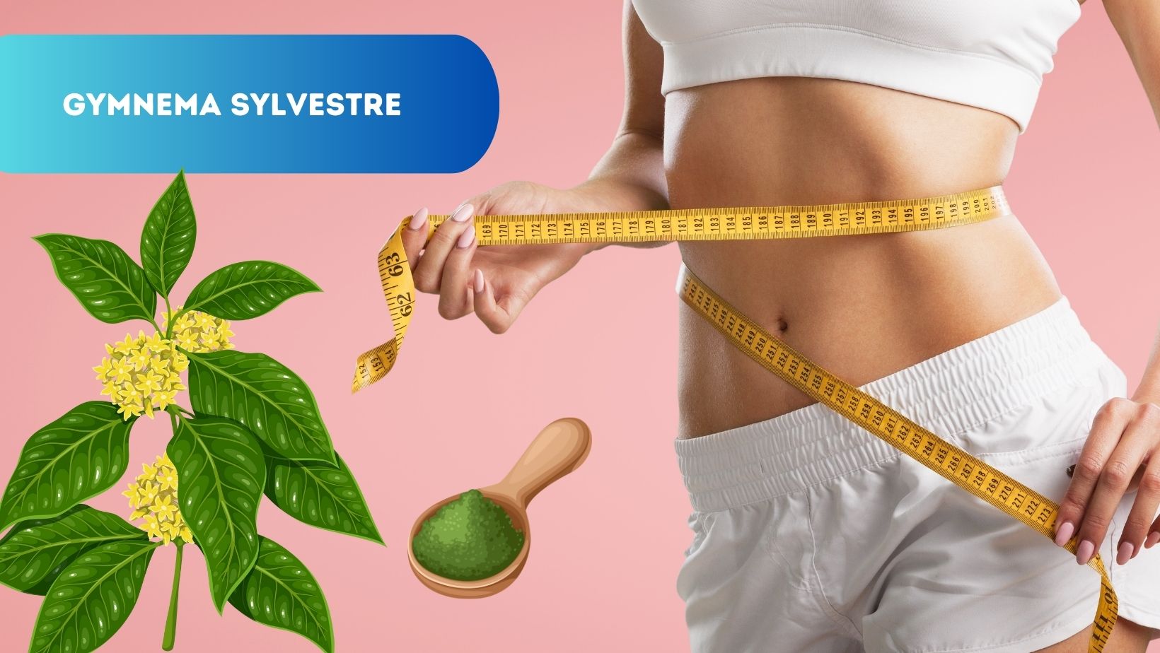 Gymnema Sylvestre pour Maigrir : Une Alternative Naturelle à l'Épreuve des Faits