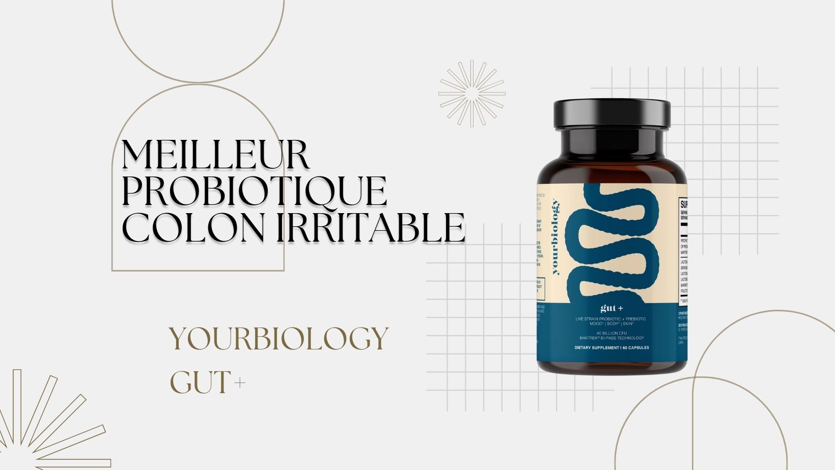 Meilleur Probiotique pour Côlon Irritable - Choix Efficaces et Avis d'Experts