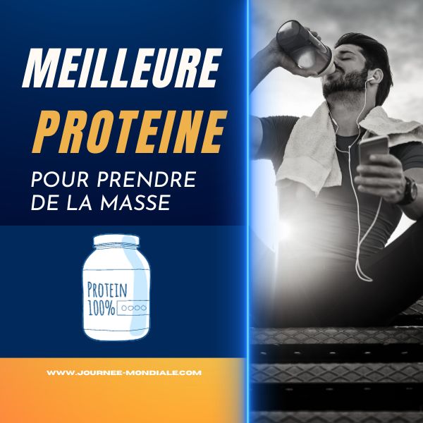 Meilleure Protéine pour prendre du muscle