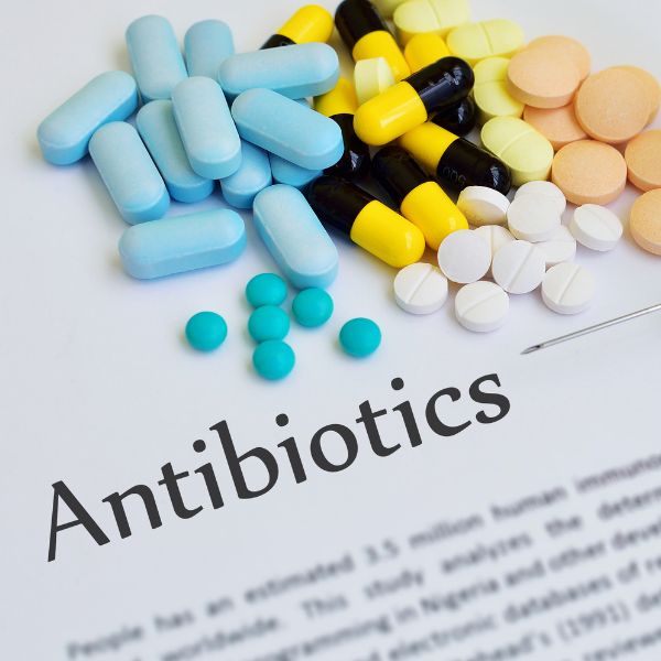 Quels Probiotiques Après Antibiotiques