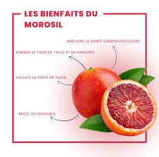 bienfaits morosil