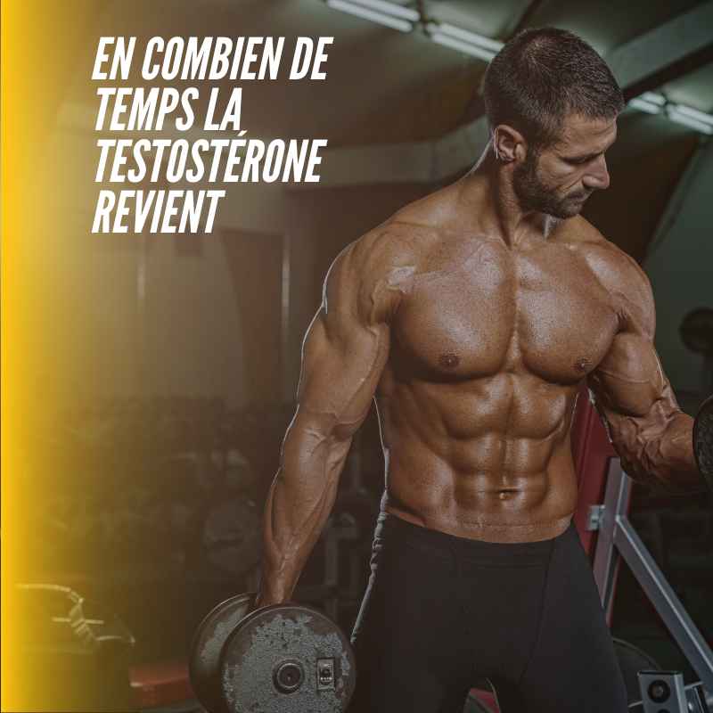 En combien de temps la testostérone revient