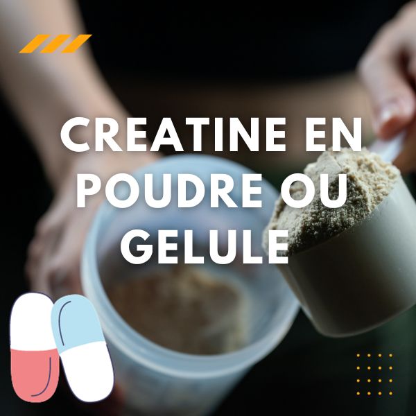 creatine poudre ou gelule