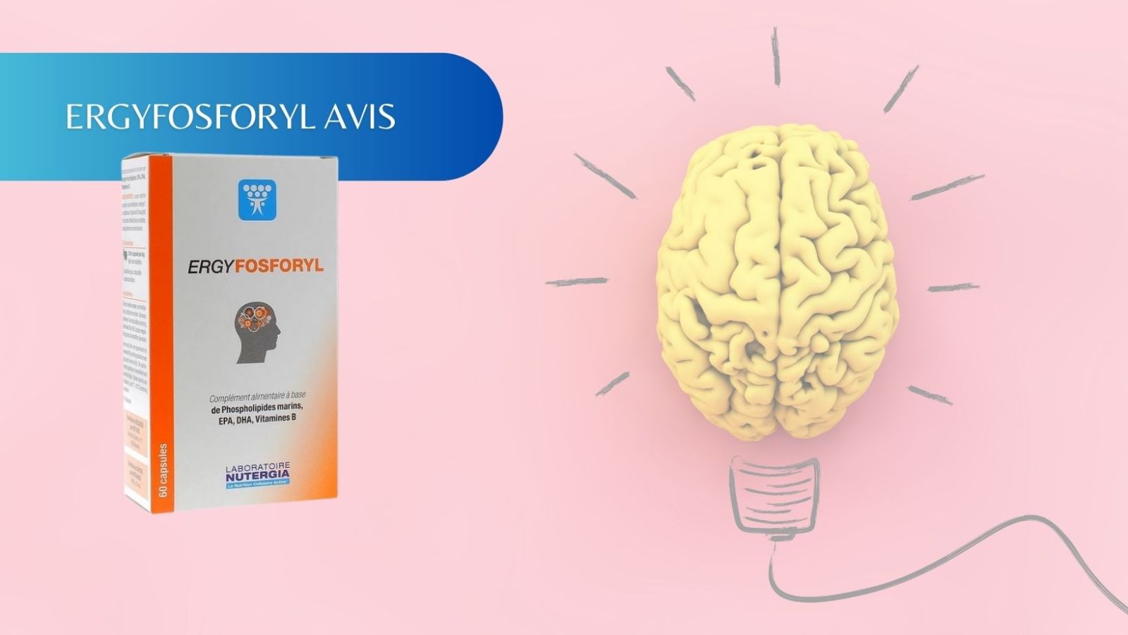 Avis Ergyfosforyl : quels bénéfices pour votre cerveau ?