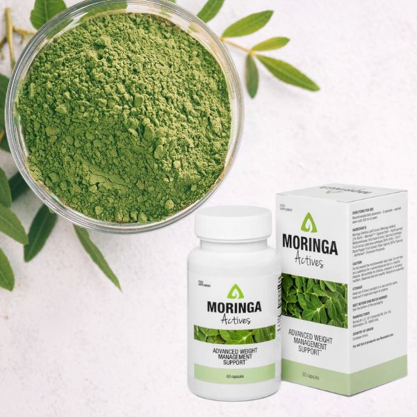 Moringa avis