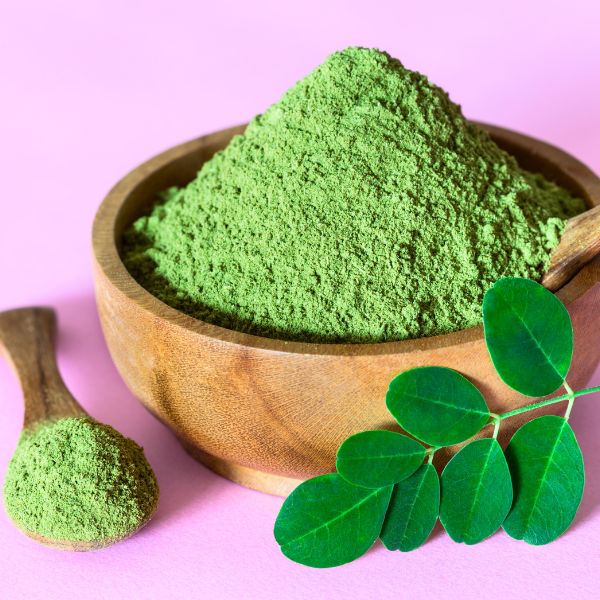 Moringa avis