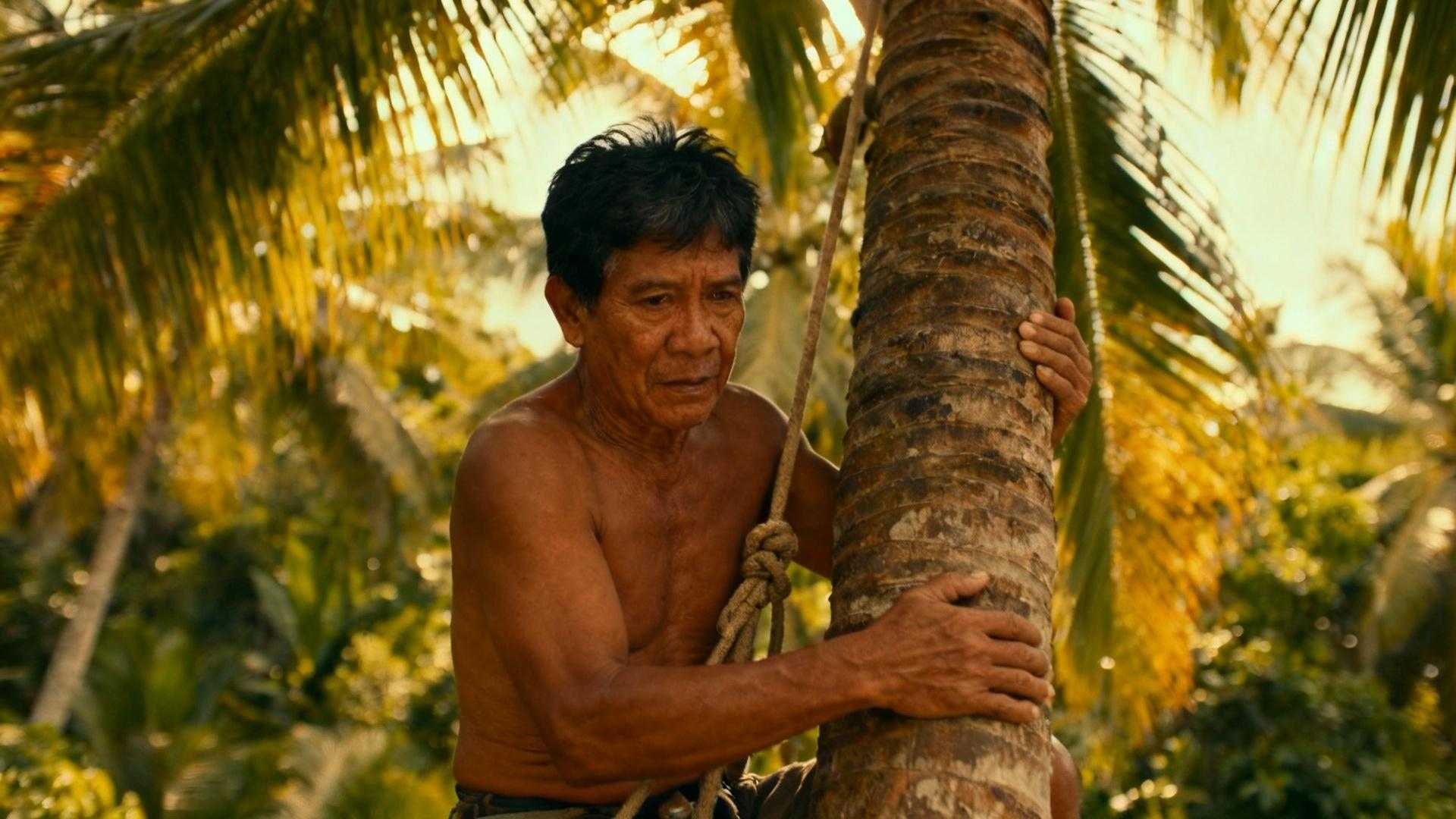 Aux Philippines, l'huile de coco cache un savoir-faire menacé de disparition
