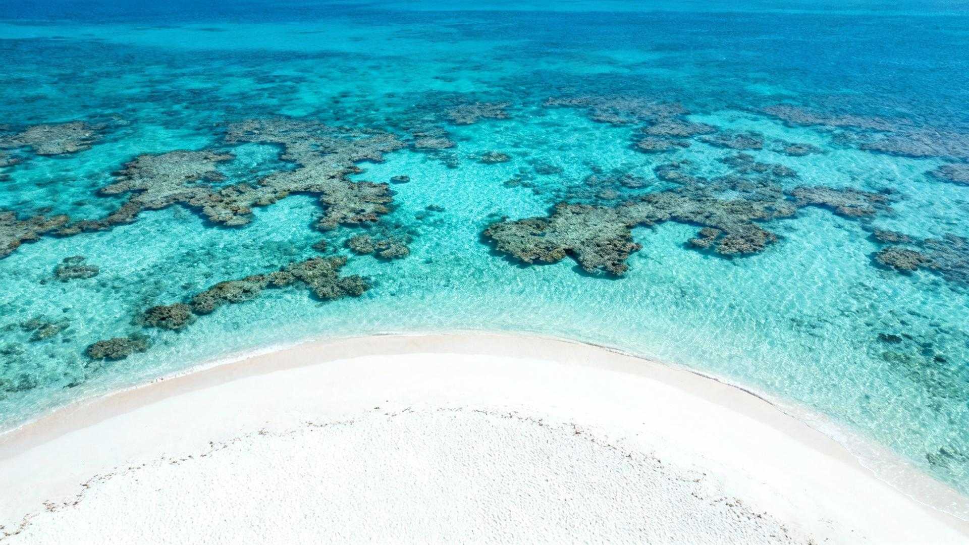 Île aux Cerfs coûte 39 € la journée quand les Maldives facturent 600 € la nuit
