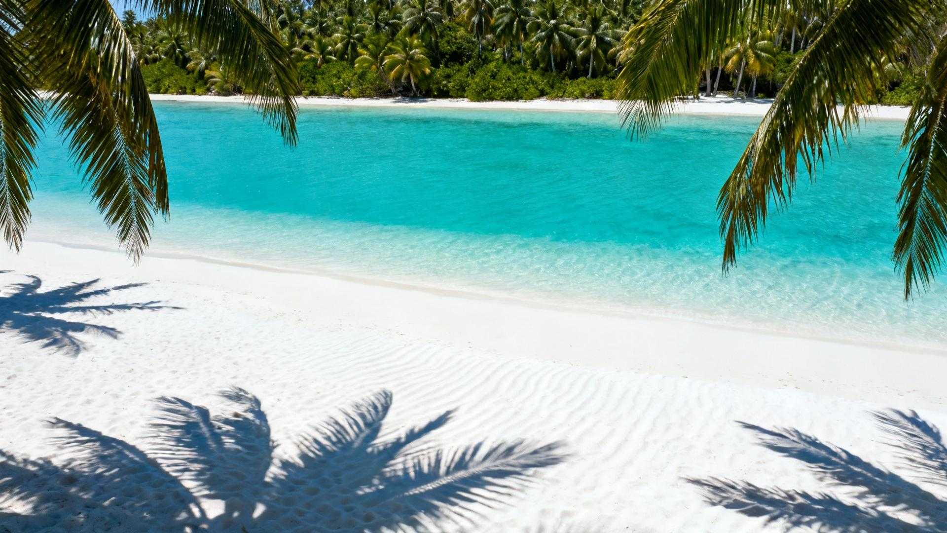 Cette plage indienne coûte 9 € en ferry quand les Maldives facturent 600 € le vol
