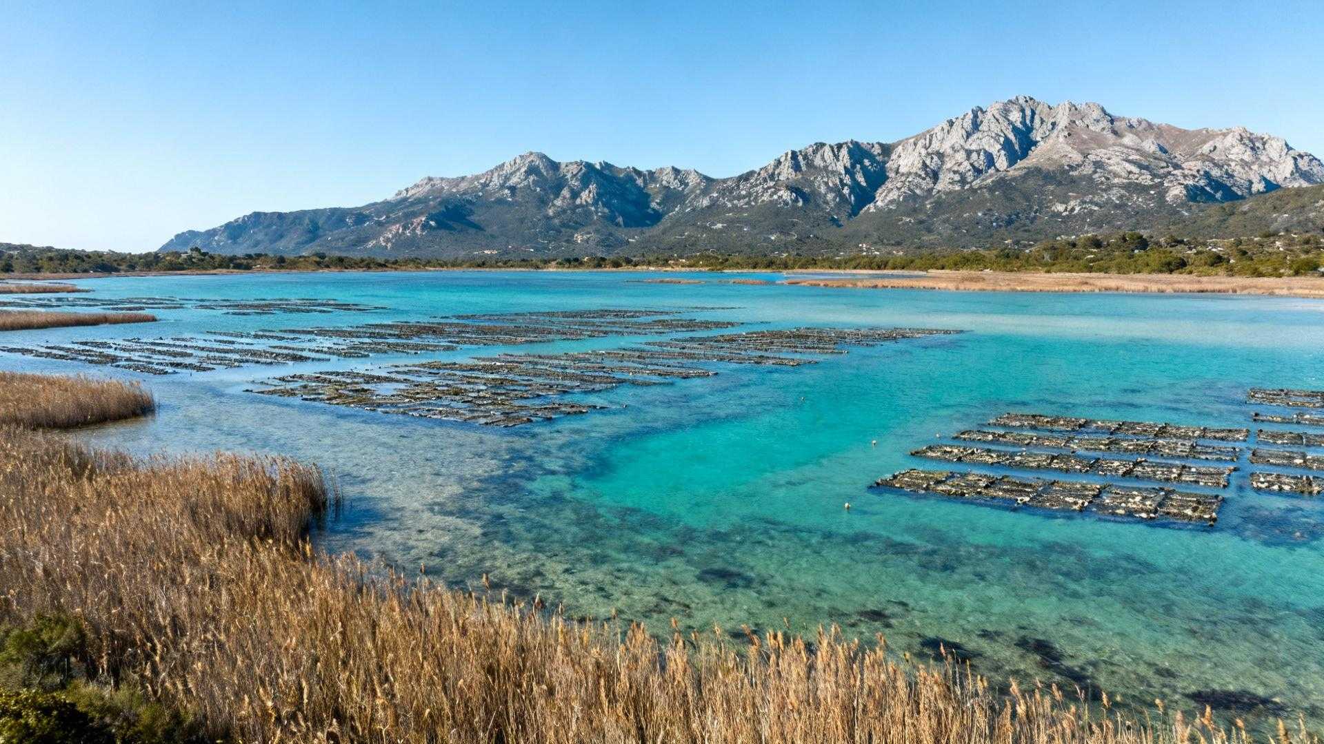 Cet étang corse de 570 hectares cache 11 mètres de profondeur et 2 000 ans d'huîtres
