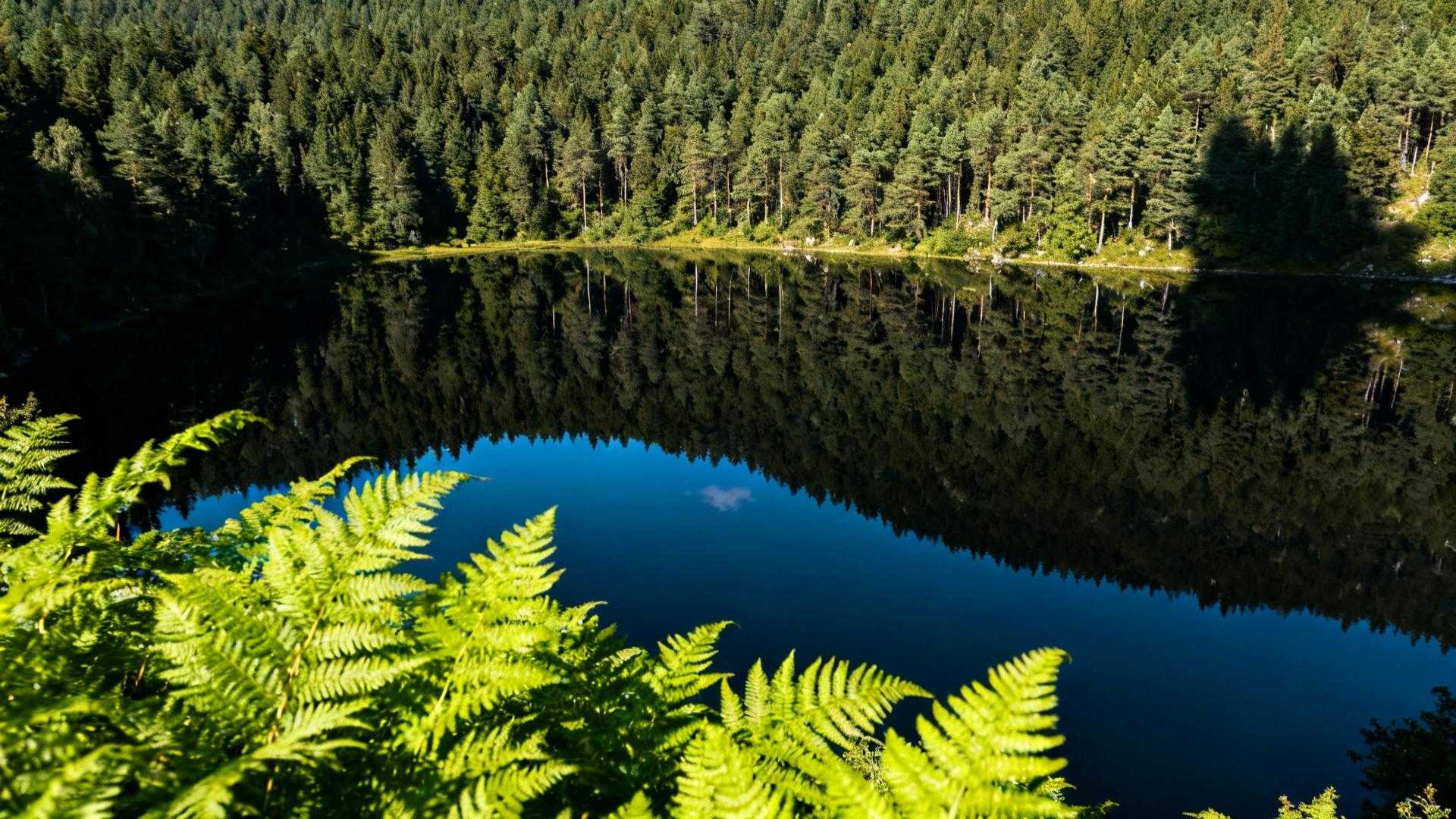 Traversez ce pont de 1867 et l'Étang de Hardy apparaît sans voiture ni foule
