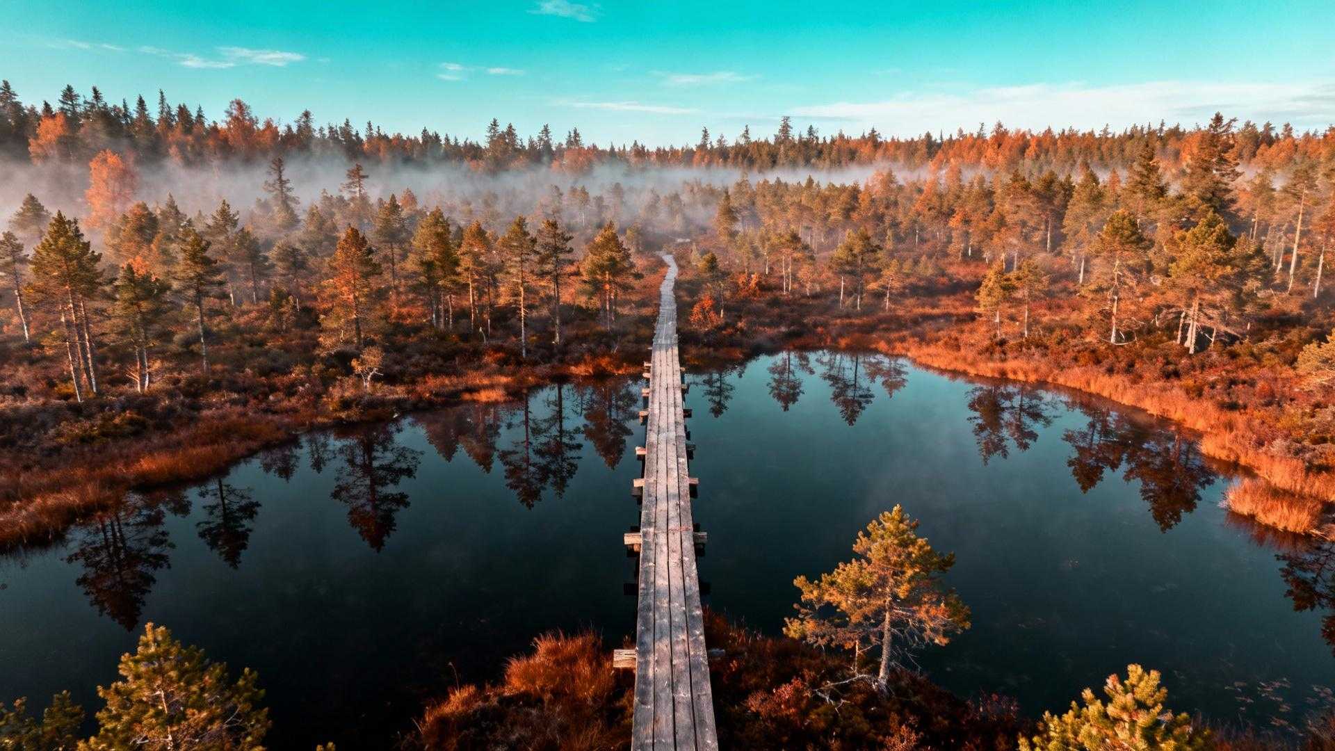 Cet étang de 9 mètres de tourbe cache 12 000 ans de climat sibérien en Suisse
