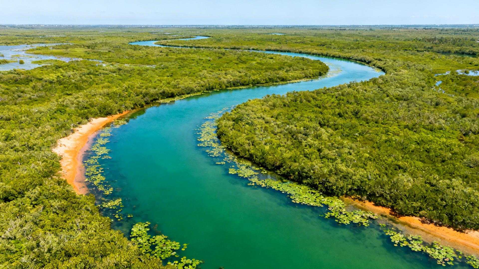Oubliez Biscarrosse – cet étang landais de 3,4 km² se renouvelle 63 fois par an
