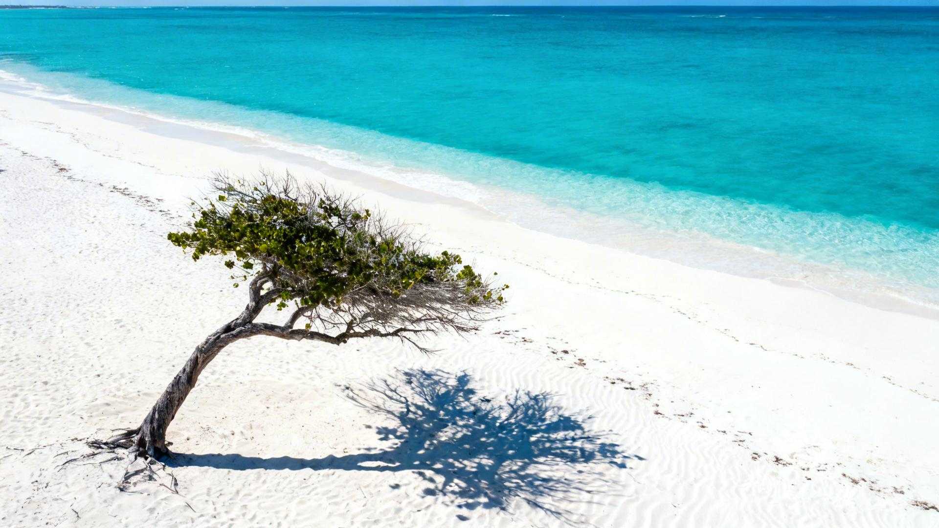 Ce bus à 5 € rejoint Eagle Beach quand les Maldives facturent 400 € de transfert
