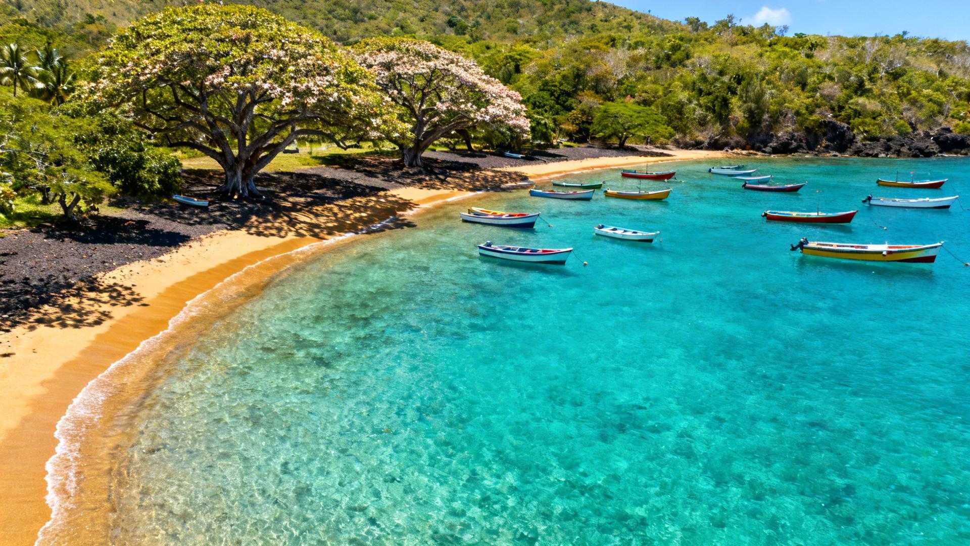 Cette plage martiniquaise coûte 1 500 € quand les Maldives facturent 13 000 €
