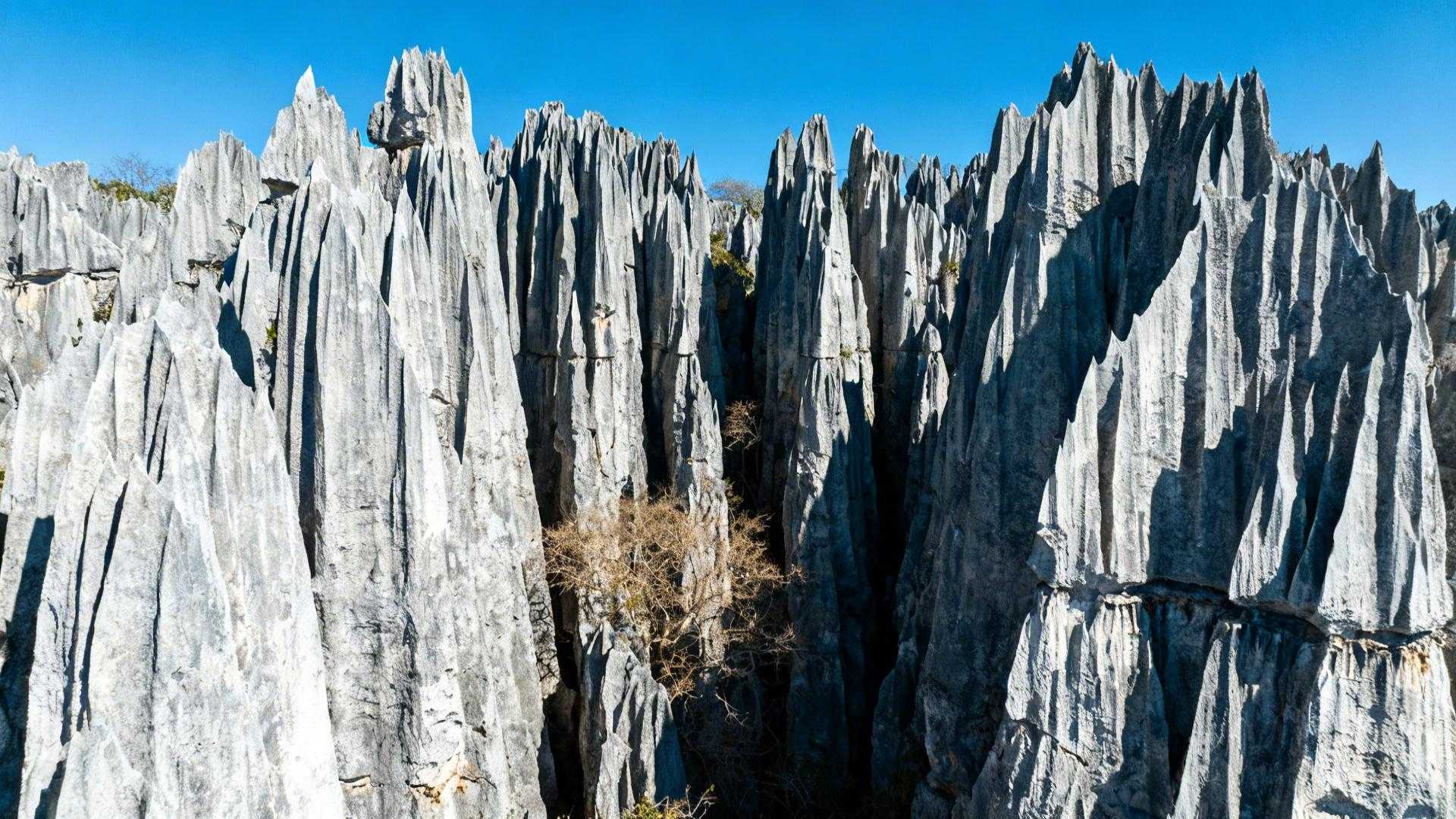 157 710 hectares de lames calcaires où même les Sakalava marchent pieds chaussés