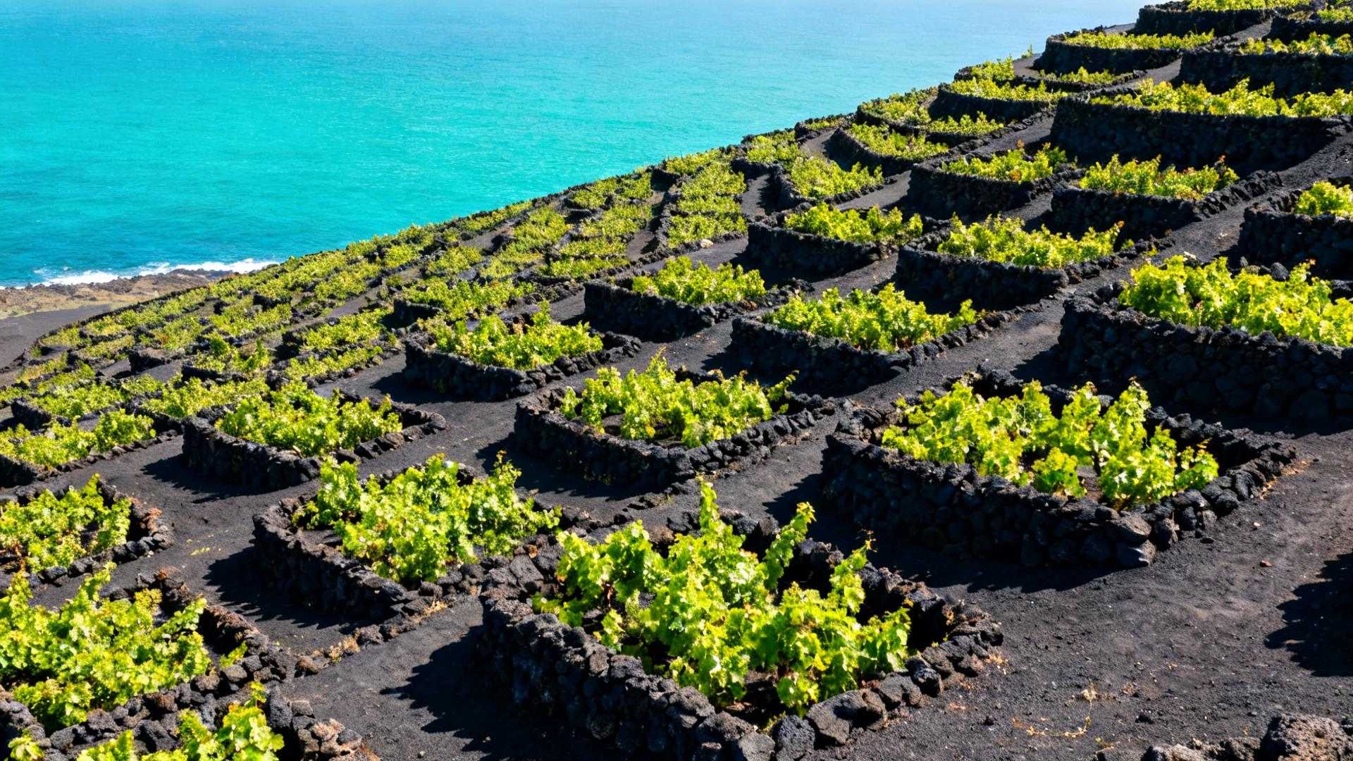 Cette île de 14 000 âmes coûte 100 € la nuit quand les Maldives facturent 600 €