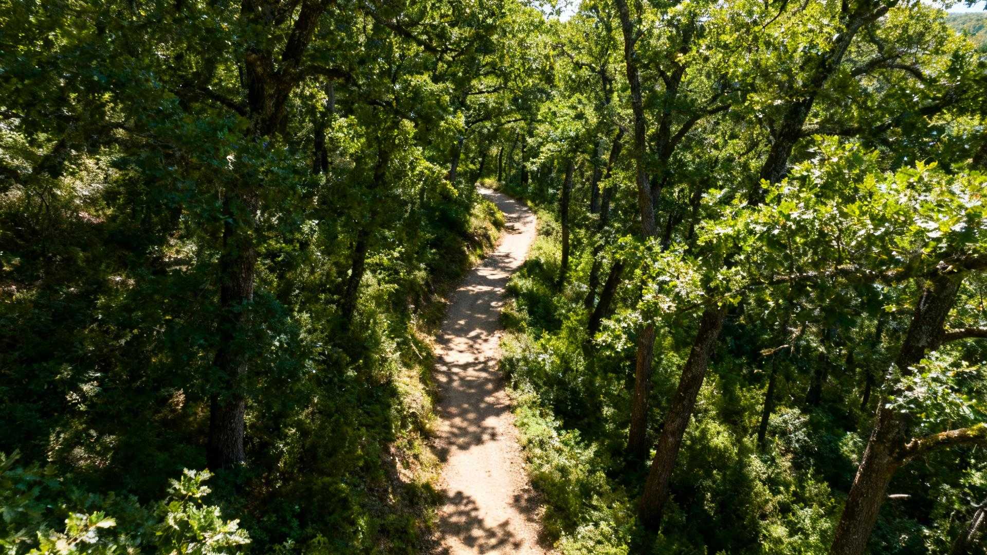 Ce village de 1 855 habitants cache 500 hectares de forêt à 40 km du Puy du Fou