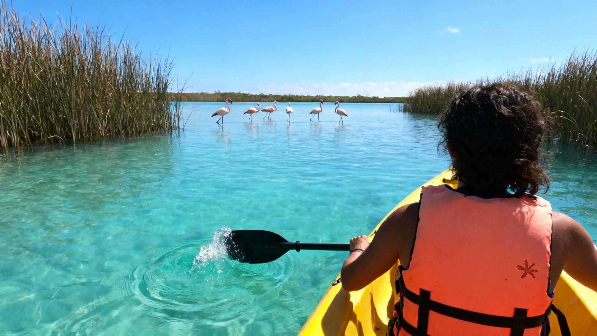 4 000 hectares, 1 mètre de profondeur : cet étang près de Montpellier interdit les bateaux