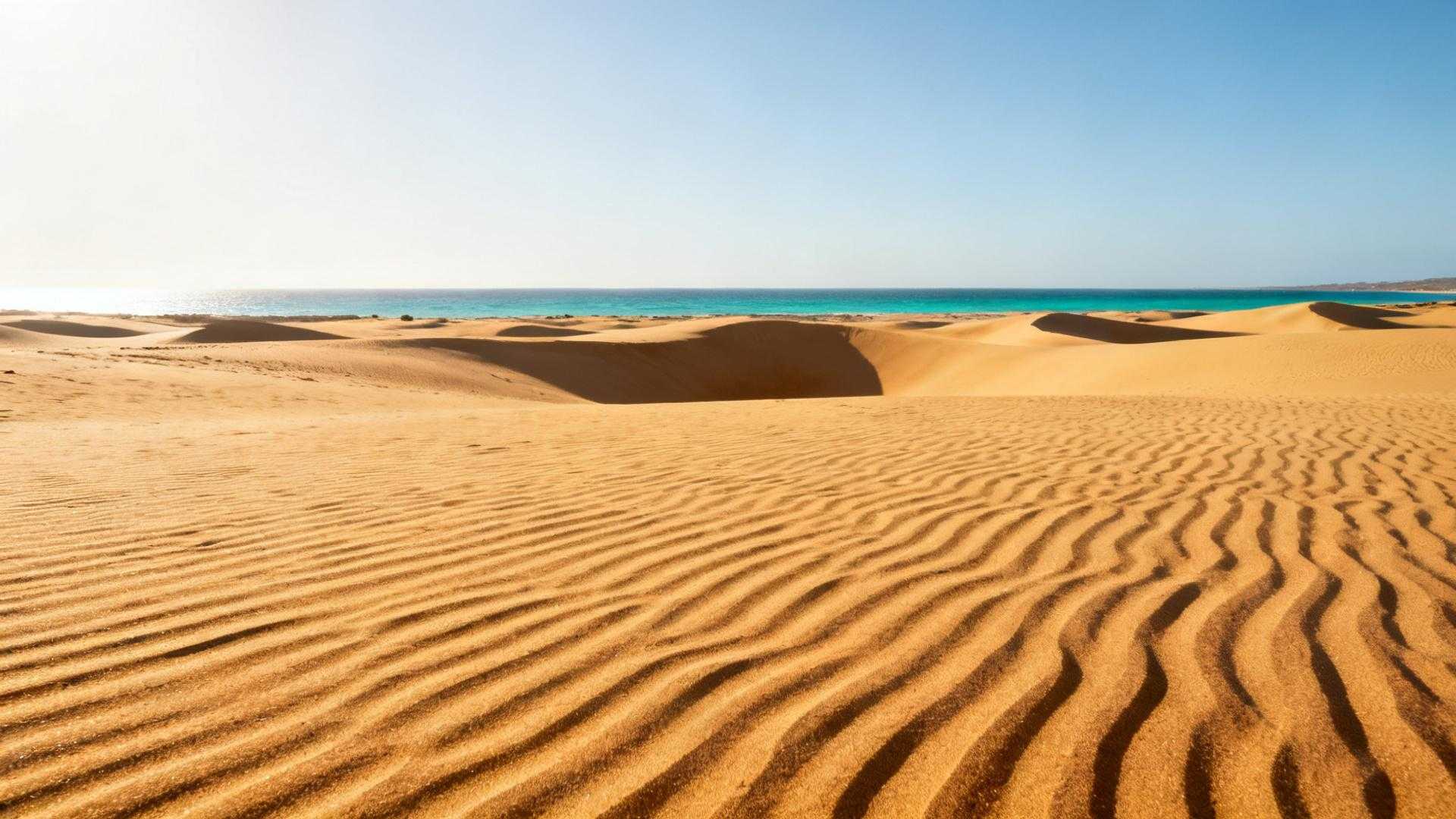 Fuerteventura décompresse votre cerveau en 72 heures – voici comment ça marche