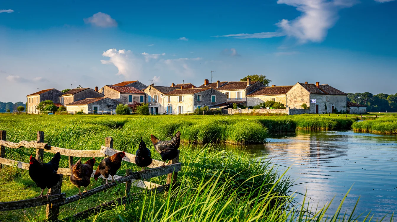 Plus foncé que les œufs de nos poulaillers, ce village charentais cache une race unique au monde depuis 1882