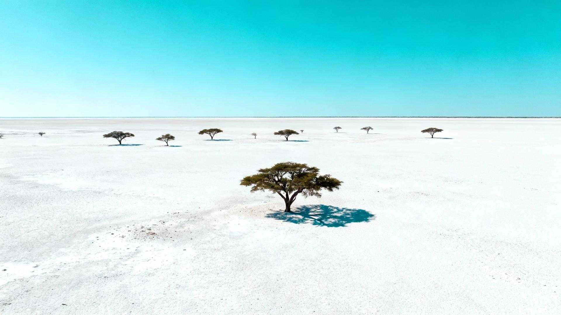 Dit Namibische park van 22.270 km² trekt slechts 280.000 bezoekers per jaar, maar verbergt waterpoelen waar zwarte neushoorns elke nacht tussen 21:00 en 23:00 verschijnen. Terwijl Serengeti 350.000 toeristen verdrinkt in Land Rovers, biedt Etosha's zoutpan van 4.760 km² een safari-ervaring die zelfs ervaren Afrika-kenners verrast. De geheimen liggen niet in marketing, maar in de mechanica van overleven. Deze witgrijze zoutvlakte dwingt alle wildlife naar slechts 32 waterpoelen. De witte vlakte die safari's transformeert De 415 kilometer vanaf Windhoek voeren door Namibische savanne naar de grootste zoutpan van Afrika. Etosha-pan strekt zich wit en glanzend uit over een gebied groter dan de Waddeneilanden samen. Deze geologische anomalie ontstond 100 miljoen jaar geleden als meer. Nu dicteert het droge seizoen van mei tot september het ritme van 114 zoogdiersoorten. Waar Kruger's 19.485 km² wildlife verspreidt over dichte bush, concentreert Etosha alles rond water. Timing wordt hier net zo cruciaal als in Barcelona tijdens oktober - de droge maanden onthullen Afrika's meest voorspelbare wildlife theater. Waarom locals mei tot september bewaken Peter Müller, Namibische reisgids sinds 1998, legt uit: "Andere parken gissen waar dieren zijn. In Etosha weten we het - bij water." De Etosha-pan verdampt 3.000 liter per vierkante meter per jaar. Waterpoelen krimpen van 80 naar 15 actieve locaties. Wildlife heeft geen keuze. De waterpoelen die gidsen niet delen Okaukuejo waterpoel blijft 's nachts verlicht door zoutlampen, niet elektrisch licht. Hier verschijnen zwarte neushoorns met 68% zekerheid tussen 22:30 en 23:15 uur tijdens droge maanden. Anna Smith, reisblogger van Safari Tales, schreef in 2025: "De rust en indrukwekkende uitzichten maken het een must voor authenticiteit zoekers zonder massatoerisme." Net als Galápagos' gecontroleerde toegang creëert Etosha's beperkte accommodatie een natuurlijk filter tegen overcrowding. Okaukuejo's 24-uurs wildlife show Van de 32 waterpoelen heeft alleen Okaukuejo nachtverlichtting. Bezoekers zitten op houten banken 20 meter van drinkende olifanten. Geen motoren, geen gidsen, alleen observatie. Statistieken tonen 58 dieren per uur tijdens piekdrukte. Leeuwen arriveren meestal rond 19:30 uur, neushoorns na 21:00 uur. De anti-stroperij realiteit achter de schoonheid In 2022 werden 61 zwarte neushoorns in Namibië gestroopt, waarvan 46 in Etosha. Nieuwe patrouilles vanaf 2023 verlaagden dit naar 24 in 2024. Lia Kamati, lokale ondernemer uit Okaukuejo, benadrukt: "Toerisme geeft gemeenschappen kansen, maar natuurbehoud blijft prioriteit nummer één." Wat je echt betaalt voor Etosha ervaring Campings kosten € 60-100 per nacht inclusief parktoegang. Mid-range lodges zoals Etosha Village vragen € 140-210 voor self-catering accommodatie. Luxe opties starten bij € 300. Vergelijk dit met Serengeti's luxury lodges vanaf € 500. Net als de Polynésie-hack strategie biedt Etosha betere waarde voor geld dan mainstream alternatieven. De lodge optie die locals kiezen Etosha Village gebruikt natuurlijke materialen en Namibische architectuur. Kamers hebben kitchenettes voor €165 per nacht voor twee personen. Self-catering verlaagt dagelijkse kosten tot € 25 voor maaltijden. 82% van bezoekers kiest self-drive safari's - het hoogste percentage in zuidelijk Afrika. Geen verplichte gidsen betekent flexibiliteit en kostenbesparing. Wildvlees en mahangu: wat safari keukens verbergen Lokale restaurants serveren venison (springbok en kudu), Mopane wormen als delicatesse, en mahangu-grain gerechten. Gemiddelde maaltijd kost € 15-25. Deze authentieke smaakervaring contrasteert sterk met geïmporteerde resort-menu's in commerciële safari-centra. De stilte die Serengeti niet kent Ochtenden bij Etosha waterpoelen betekenen geen motor geronk zoals Serengeti's vehicle convoys. Alleen wind door acacia's en het geluid van olifanten die stofbaden nemen. National Geographic schreef in maart 2025: "Etosha blinkt uit door wildrijkdom en onontgonnen sfeer, vooral gewaardeerd door ecotoeristen." De 22.270 km² creëert isolatiegevoel zelfs met 280.000 jaarlijkse bezoekers. Jan van der Meer, directeur Toerisme Namibië, verklaart: "Investeringen in toegankelijke lodges maken Etosha aantrekkelijker voor internationale toeristen zonder authenticiteit te verliezen." Jouw vragen over Parc national d'Etosha, Namibië, Safari beantwoord Wat is de beste maand om zwarte neushoorns te zien? Juli en augustus bieden 70% kans op neushoorn waarnemingen bij Okaukuejo tussen 21:00-23:00 uur. Waterconcentratie tijdens droge maanden dwingt wildlife naar verlichte poelen. Park sluit bij zonsondergang, overnachting vereist binnen parkgrenzen. Hoe vergelijkt Etosha met Kruger qua authenticiteit? Kruger heeft 19.485 km² met hoge toeristische infrastructuur. Etosha's 22.270 km² heeft lagere accommodatiedichtheid en minder asfalt wegen. Peter Müller legt uit: "Etosha behoudt wilderness gevoel door schaal en beperkte toegang tot slechts drie hoofdkampen." Kan ik Etosha self-drive doen vanuit Windhoek? Ja, 415 km rijden duurt 4-5 uur. Asfalt tot Outjo, daarna gravelwegen. Self-drive toegestaan binnen park met normale auto. Huurauto € 50-80 per dag, brandstof circa € 60 retour. Sunset boven Etosha-pan kleurt de witte horizon goud terwijl temperaturen zakken van 32°C naar 18°C. Olifanten silhouetten bewegen langzaam naar waterpoelen. Geen camera shutters, geen tour guide commentaar - alleen het knarsen van zandkorrels onder wandelschoenen.