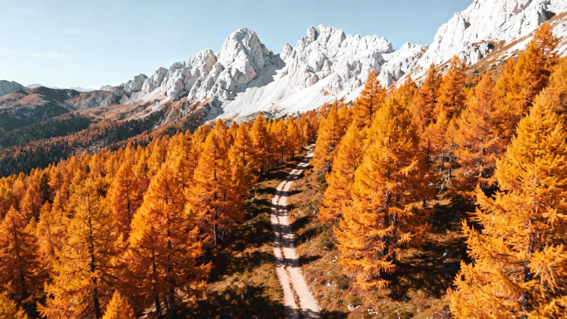 Tussen de witte pieken van de Drie Zinnen wandelen in augustus 250 bezoekers per uur. Hotels vragen € 275 per nacht. Wachtrijen voor fotoplekken strekken zich uit over bergkammen. Dan breekt september aan, en plotseling lopen slechts 12 wandelaars over hetzelfde pad. Accommodaties zakken naar € 95. De goudgele lariksenwouden gloeien in lege stilte. Zuid-Tirolers boeken hun september-vakanties al 9 maanden vooruit. Wat weten zij dat 6,2 miljoen toeristen missen? Waarom 6,2 miljoen toeristen de verkeerde maand kiezen Juli en augustus concentreren 62% van alle 10 miljoen jaarlijkse Dolomieten-bezoekers. Hotels in Val Gardena schieten van € 95 naar € 250. Berghutten boeken drie maanden vooruit vol. Het mediterraan-Alpien klimaat brengt 300 dagen zon per jaar. September blijft stabiel met dagtemperaturen van 15-20°C. Dalstations draaien door met 60% minder passagiers. Bretagne transformeert in mei en september met vergelijkbare seizoenspatronen. Lokale Zuid-Tirolers mijden juli-augustus volledig. Hun geheim ligt in de overgang tussen zomer en herfst. Het natuurfenomeen dat september magisch maakt Enrosadira - het alpengloeien van 18:30 tot 19:15 Dolomietgesteente bestaat uit 250 miljoen jaar oude versteende koraalbanken. Deze formatie laat bergtoppen gloeien in oranje-rood-roze tinten bij zonsondergang. September brengt 2 graden koelere lucht dan juli. Sasso Lungo, Tofana en Marmolada transformeren tussen 18:30-19:15 uur. Zonder de 500 fotografen van augustus krijg je exclusieve toegang tot dit natuurspektakel. De lariks-transformatie die Europa's beste herfstshow creëert Derde week september kleuren 40.000 hectare lariksenwouden goudgeel tegen witte dolomietpieken. Seiser Alm wordt Europa's grootste hoogvlakte vol oranje-geel contrast. Val Gardena's bergflanken gloeien als New England's herfst. Maar met 70% minder bezoekers dan Vermont. Dit Engelse park vangt dezelfde drama met soortgelijke timing-voordelen. Wat je echt beleeft in september en wat je mist De accommodatie-paradox: € 95 versus € 250 Hotel Adler Dolomiti in Ortisei: augustus € 250 per nacht, september € 95. Rifugio Lagazuoi: augustus drie maanden vooruit volgeboekt, september walk-ins mogelijk. Gondelbanen blijven rijden voor € 15-30 retour zonder wachtrijen. SAD-bussen cruisen met lege stoelen door valleien. 85% van alle hotels blijft open tot half oktober. De keuken die alleen september onthult Half september beginnen Tiroler Törggelen-feesten. Kastanje-oogst, nieuwe wijn, Speck en Schlutzkrapfen in familiewijnhuizen. Dit zijn geen toeristenevenementen - eeuwenoude lokale tradities. Kaiserschmarrn met verse appels uit daloogst. Wat 750 locals echt eten in Placencia toont vergelijkbare insider-culinaire ervaringen. Zonder reservering stap je binnen bij authentieke Buschenschänke. Het bitterzoete afscheid dat september perfect maakt Berghutten sluiten tussen 15-20 september. Dit geeft melancholische schoonheid aan wandelingen. Je passeert gesloten rifugio's met dichtgeblindeerde luiken. Die eenzaamheid zoeken Zuid-Tirolers precies. Stilte tussen Drei Zinnen wordt tastbaar waar normaal 4.000 bezoekers per dag lopen. Dit Oostenrijkse dorp verbergt Alpine schoonheid met soortgelijke rust-voordelen. UNESCO Werelderfgoed zonder wereldmassa's. Zoals de bergwacht van Val Gardena al 20 jaar zegt: "September is wanneer de bergen ademen." Jouw vragen over waarom september de Dolomieten transformeert beantwoord Is september echt goedkoper, of zijn accommodaties gesloten? 85% van hotels blijft open tot half oktober. Prijsdaling is reëel: 47-53% lagere tarieven volgens Booking.com data. € 80-150 versus € 200-500 in augustus. Berghutten sluiten 15 september, maar dalstations Seceda, Kronplatz en Marmolada draaien door. Restaurants blijven open - alleen ultra-hoog gelegen rifugio's sluiten. Welke activiteiten zijn nog mogelijk in september? Alle wandelpaden tot 2.400 meter blijven begaanbaar - dat is 90% van alle routes. Klimmen, via ferrata's en mountainbiken onveranderd beschikbaar. Nachtvorst begint pas eind oktober. Dagtemperaturen van 15-20°C zijn perfecte wandelcondities versus 25-30°C zomerhitte. Veel comfortabeler voor langere tochten. Waarom boeken Zuid-Tirolers september al in januari? Lokale families reserveren herfstvakanties 9 maanden vooruit vanwege timing-precisie. Derde week september is statistisch beste voor lariks-transformatie plus Enrosadira plus Törggelen-start. Niet vanwege drukte, maar vanwege natuurlijke fenomenen die precies dan samenkomen. Zuid-Tirolers kennen de bergen vanaf geboorte - hun timing is wetenschappelijk gebaseerd. 18:52 uur, Sasso Lungo kleurt bloedoranje. Één wandelaar staat alleen op het Seceda-plateau tussen 2.500 meter gloeiende rotsen. Geluid van koeienbelletjes echoot uit valleien beneden. Dit is de Dolomieten die 6,2 miljoen toeristen nooit zien - en die 350.000 insiders elk jaar opnieuw claimen.