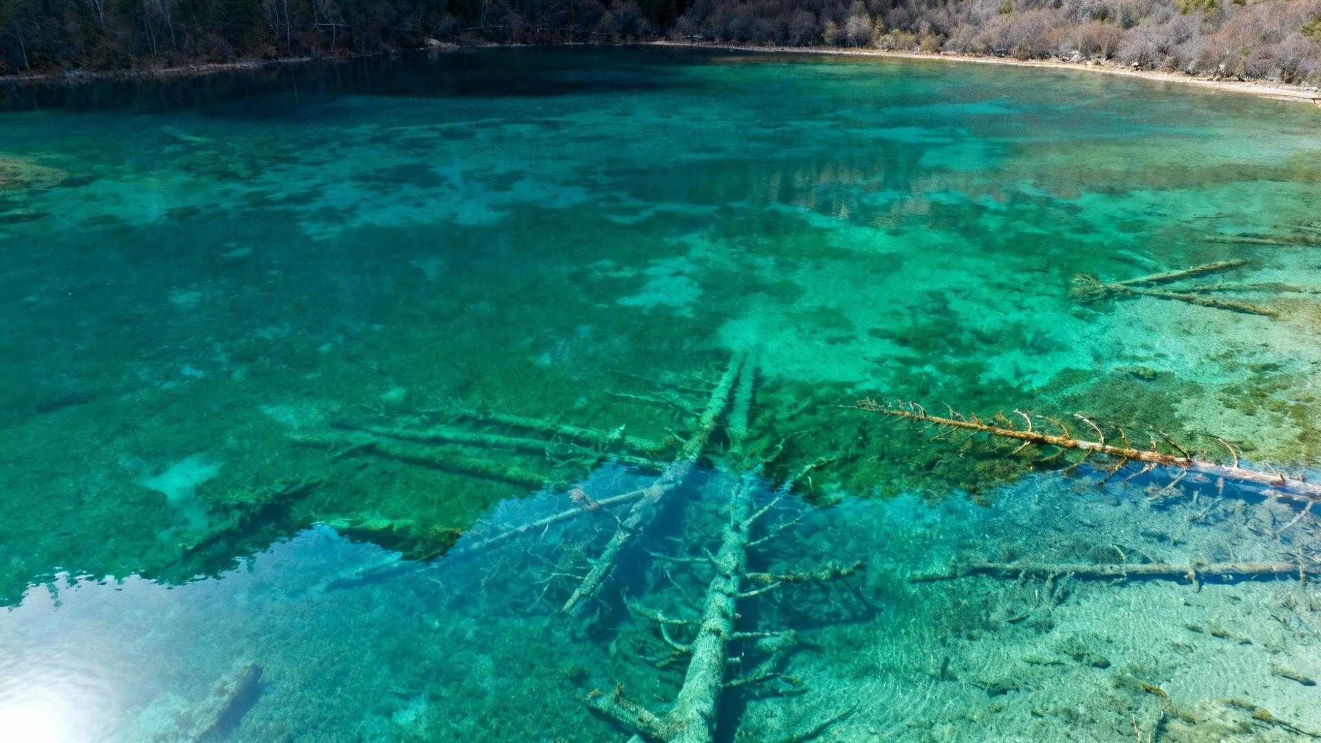 Augustus bij Wörthersee: duikscholen rekenen € 85 voor uitrusting terwijl locals hun kinderen leren zwemmen op gratis toegankelijke stranden met 11 km natuurlijke kust. Deze opening onthult de paradox van Oostenrijks merenparadijs. Spectaculaire waterbelevingen bestaan zonder duiklicentie of betaalde tours. Van smaragdgroen Grüner See tot Weissensee's natuurijsbaan in winter transformeren zeven gratis ervaringen € 275 hotel-weekends in authentieke natuurontmoetingen voor € 90. Grüner See: waar het duikverbod de mooiste gratis ervaring creëerde Sinds 2015 beschermt een duikverbod het ecosysteem van Grüner See bij Tragöß. Het resultaat overtref alle verwachtingen. Oeverwandelingen tonen 12 meter diep water met perfecte transparantie. Het voorjaarsfenomeen van mei tot juni transformeert het park in een onderwaterbos. Wandelpaden verdwijnen onder kristalhelder water. Bomen staan tot hun kruin ondergedompeld, zichtbaar vanaf houten bruggen die boven het wateroppervlak uitsteken. Parkeren kost € 12,50 per dag bij de ingang. GPS-coördinaat 47.5780° N, 15.1638° E brengt je direct naar het toegangspunt. Vroeger betaalden duikers € 40 per dag voor dezelfde ervaring die je nu gratis vanaf de oever beleeft. Weissensee tot Fernsteinsee: de 50-meter zichtlijn die niemand hoeft te betalen Deze meren onthullen wat commerciële duikplekken verborgen houden. Fernsteinsee biedt 50 meter onderwaterzicht vanaf eenvoudige picknickplekken. Weissensee combineert 51 meter diepte met absolute stilte, ver van drukke toeristische hotspots. Azuurblauw water dat zijn eigen show maakt Fernsteinsee's unieke zichtbaarheid ontstaat door geologische kalksteen filtering. Anna Huber van Austria Dive Guide bevestigt: "Fernsteinsee biedt ongeëvenaarde zichtbaarheid tot 50 meter onder water, ideaal voor duikers die de Alpen verkennen." Het water toont deze transparantie het hele jaar door. Winters bonus: Europa's grootste natuurlijke ijsbaan Weissensee bevriest volledig tussen december en maart. Klaus Berger van VVV Weissensee legt uit: "Onze regio combineert duikmogelijkheden met rijke cultuur en culinaire hoogstandjes, perfect voor een complete vakantie-ervaring." Locals beoefenen gratis schaatsactiviteiten al 300 jaar op dit natuurlijke ijs. Wat locals echt doen: snorkelen voor € 15 versus duiken voor € 90 Authentieke ervaringen vereisen geen dure uitrusting. Locals onthullen technieken die toeristen missen. Eenvoudige snorkeluitrusting opent dezelfde onderwaterwereld als professionele duikscholen. De snorkelgeheimen van Blindsee en Lechausee Blindsee biedt watertemperaturen tot 25°C door natuurlijke bronnen. Eigen snorkeluitrusting meebrengen bespaart € 15 huurkosten per dag. Beste observatiepunten liggen bij de oostelijke oever, GPS 47.5500° N, 12.6667° E. Lechausee kent geen winterbeperkingen. De Alpbachtal Card geeft gratis toegang tot parkeerplaatsen ter waarde van € 9 per dag. Zonder gids ontdek je verborgen onderwaterrots formaties die commerciële tours overslaan. Kärntner Kasnudeln bij Wörthersee versus € 25 toeristen-lunch Lokale eetcultuur rondom meren vermijdt toeristische vallen. Kärntner Kasnudeln kosten € 12-15 bij authentieke cafés. Maria Gruber van Österreich Magazin 2025 benadrukt: "De combinatie van natuurlijke schoonheid, cultureel erfgoed en moderne voorzieningen maakt Wörthersee ongeëvenaard in Karinthië." De € 275 versus € 120 timing-paradox Mei en september onthullen lege stranden bij Tristacher See, 6 km van Lienz. Accommodatieprijzen halveren buiten juli-augustus. Voorjaarsbloei bij Grüner See contrasteert met augustushitte bij Wörthersee met 2 miljoen toeristen jaarlijks. Budgetbewuste natuurliefhebbers kiezen strategische timing. Oktober biedt 40% lagere prijzen met ideale watertemperaturen van 14°C bij Wörthersee. September combineert stabiel weer met minimale drukte across alle zeven meren. Jouw vragen over de mooiste meren van Oostenrijk voor een duik beantwoord Welke meren zijn echt gratis toegankelijk voor watersport? Weissensee kent geen entree, alleen parkeren € 3 per dag. Fernsteinsee biedt volledig gratis toegang via GPS 47.288° N, 10.866° E. Wörthersee heeft 11 km openbare stranden zonder kosten. Blindsee en Lechausee kennen gratis toegang maar betaald parkeren € 10 per dag. Grüner See: wandelen gratis, duiken verboden sinds 2015. Tristacher See heeft openbare toegang met kleine parkeerkosten € 5 per dag. Is mei echt beter dan augustus voor budget-reizigers? Mei biedt hotels € 90-120 versus € 200-250 in augustus. Grüner See bereikt hoogtepunt met ondergelopen bossen in mei-juni. Minimale drukte contrasteert met augustus wanneer Wörthersee 200.000 bezoekers per maand verwelkomt. September vormt gouden compromis met stabiel weer en 40% lagere accommodatieprijzen. Watertemperaturen blijven aangenaam: 22°C in mei, 25°C in augustus, 20°C in september. Hoe verhouden deze meren tot Italiaanse en Zwitserse alternatieven? Oostenrijkse meren delen Alpen-schoonheid met 30% lagere accommodatiekosten dan Zwitserse equivalenten. Minder commercieel dan Lago di Garda met 2,5 miljoen bezoekers jaarlijks. Unieke combinatie van UNESCO-erfgoed bij Hallstätter See en Neusiedler See met toegankelijke prijzen. Gratis voordeelkaarten zoals Alpbachtal Card versus € 25 per dag Swiss Travel Pass of € 40 per week Garda Card. Oktoberzon verlicht Fernsteinsee's 50 meter diepte zonder enkele duiker in zicht. Een Tiroler familie picknict met zelfgemaakte Knödel op de oever. De transparantie toont geologische formaties die anderen € 85 per duik betalen om te bereiken.