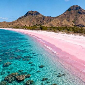 Augustus middagzon bakt Pink Beach onder 31°C hitte terwijl drie speedboten 240 toeristen lossen. Hotels in Labuan Bajo rekenen € 250-300 per nacht. Vier maanden eerder, april om 07:30, ligt het 300 meter lange roze strand er leeg bij. Het schittert in het ochtendlicht zonder dat een enkele boot het turquoise water verstoort. Accommodaties kosten slechts € 80. Dit is het timing-geheim dat 88% van Komodo's jaarlijkse bezoekers mist. Het 3,5-maanden venster dat slechts 12% ontdekt April tot medio juni transformeert Pink Beach van toeristenhotspot naar paradijs. Concrete cijfers spreken boekdelen: augustus trekt 2.500 dagtoeristen, april amper 600. De watertemperatuur blijft een perfecte 26-28°C maar zonder boten die koraalriffen verstoren. UNESCO Komodo National Park data toont dat 88% van bezoekers komt tussen juli-oktober. Het droge seizoen loopt wel van april-oktober, maar april-juni combineert stabiliteit met pre-hoogseizoen rust. Ko Tao's geheime duikseizoen volgt hetzelfde patroon. Labuan Bajo transformeert van overvolle haven naar authentieke vissersstad. De 25.000 inwoners leven hun normale leven zonder 15.000 dagtoeristen die in de zomer arriveren. Waarom april-juni het roze zand spectaculairder maakt Het roze zand fenomeen bereikt zijn visuele piek tijdens het laagseizoen licht. Wetenschappelijk bewijs ondersteunt dit verschijnsel dankzij temperatuurverschillen. Foraminifera-pigment intensiteit bij lagere temperaturen Het roze ontstaat door microscopische Foraminifera organismen die rode pigmenten afgeven. Deze vermengen zich met wit koraalzand bij de juiste temperatuur. Bij 26°C watertemperatuur in april-juni versus 28-31°C in augustus blijft pigmentstabiliteit optimaal. Volgens Dr. Agus Budiarto, marien bioloog: "Lagere temperaturen behouden kleurstabiliteit versus hittebleking die we in augustus zien." Ochtendlicht zonder middagmassa's April-juni brengt zonsopgang om 06:15 met gouden uur tot 08:00 op leeg strand. Augustus betekent eerste boten om 07:30 die optimale fotografie-hoeken blokkeren. De 300-meter kustlijn weerspiegelt Komodo's 75-100 meter vulkanische heuvels perfecter in rustig water. Alleen 334.206 bezoekers kwamen in 2025 naar het hele Komodo National Park. Borneo's jungle-geheimen liggen slechts 1.450 km verderop met vergelijkbare timing-voordelen. De concrete ervaring: april versus augustus Timing-shift betekent praktische revolutie. Vergelijk de ervaringen maand voor maand om het verschil te begrijpen. Snorkelen in Princess Alexandra Park April biedt kristalhelder 30-meter zicht met ongestoorde koraalriffen. Zeldzame hawksbill zeeschildpadden zijn zichtbaar tussen 08:00-10:00. Augustus reduceert zicht tot 15-20 meter door boot-activiteit met 40+ gelijktijdige snorkelaars. Een lokale duikgids sinds 20 jaar legt uit: "April water zo helder, je telt vissen op 25 meter." Speedboot kosten april: € 50-70 versus € 100-120 augustus. Komodovaranen observatie timing Komodo-eiland ligt 30 km verderop en combineert perfect met Pink Beach april-trips. Lagere temperaturen betekenen actievere varanen tussen 07:00-11:00. Augustus hitte dwingt de 2.800 varanen naar schaduw, minder zichtbaar voor toeristen. UNESCO-gidsen bevestigen: pre-hoogseizoen biedt 40% betere wildlife observatie. Europa's verborgen meren delen dezelfde timing-filosofie tegen massatoerisme. Labuan Bajo transformeert buiten hoogseizoen De havenstad wordt authentieke uitvalsbasis. April toont lokale vissersmarkt om 05:30 zonder toeristen. Restaurants serveren verse yellowfin tuna voor € 5-8 per maaltijd. Accommodaties variëren € 30-80 voor guesthouses versus € 100-300 in augustus. Komodo Airport ontvangt 6 dagelijkse vluchten in april versus 12+ augustus. Pre-boeken speedboten bespaart 45% kosten plus flexibelere vertrektijden. Lokale vissers werken ongestoord hun netten in de vroege ochtend. Deze Sri Lanka culturele harmonie vind je ook terug in april's rustige Labuan Bajo sfeer. Jouw vragen over Pink Beach, Île de Komodo (Indonésie) beantwoord Is april-juni echt droog genoeg voor strandbezoek? Meteorologische data Oost-Nusa Tenggara toont april 8 regendagen, mei 4 dagen, juni 2 dagen. Meestal nachtelijke buien. November-maart heeft 15-22 regendagen. April-juni gemiddeld 26-28°C, perfecte balans versus maart overgangsweer of juli beginnende hitte-opstapeling. Hoe bereik ik Pink Beach vanuit Labuan Bajo in april? Speedboten vertrekken 06:30 en 08:00 versus elk uur in augustus. 1,5 uur varen, € 50-70 retour inclusief snorkeluitrusting april-prijzen. Private charter € 200-250 voor 4 personen versus € 400-500 augustus. Lokale operators: Komodo Island Tours, Flores Adventure. Kan ik Pink Beach combineren met andere Komodo eilanden in april? Ideaal. Droog seizoen stabiliteit plus lagere prijzen maken multi-eiland dagtochten betaalbaar. Pink Beach plus Padar Island viewpoint plus Komodo Island varanen kost € 80-100 april versus € 150-180 augustus. 3-daagse liveaboard tours: € 350-450 april inclusief accommodatie, maaltijden, alle stops versus € 600-800 hoogseizoen. April om 16:30 op Pink Beach kleurt zonsondergang het roze zand oranje-goud. Het laatste speedbootje vertrekt met slechts 8 passagiers. Komodo bewaart zijn schoonheid zonder monumenten, alleen natuur die slechts 12% van bezoekers in perfecte timing ontdekt.