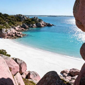 Augustus middaghitte van 32°C bakt het zand van Beg-Meil terwijl drie toeristenbussen 240 bezoekers lossen bij de strandpromenade. Hotels rekenen €275 per nacht. Vier maanden eerder lag dezelfde 300 meter lange baai er leeg bij. Turquoise water glinstert in 18°C ochtendlicht. Geen parasol verstoort het uitzicht op roze granieten rotsen. Dit is het timing-geheim dat 88% van Bretagne's 5-7 miljoen jaarlijkse toeristen missen. Mei en september onthullen een compleet andere kust. De seizoensparadox die Bretagne transformeert In 2025 registreerde Tourisme Bretagne 111 miljoen overnachtingen. Daarvan valt 73% in de periode april-september. Augustus blijft stabiel druk met volle accommodaties en overvol transport. Mei laat een andere realiteit zien. Hotels kosten €120 in plaats van €275. Parkeerplaatsen bij Cap Fréhel blijven tot 11 uur leeg. September volgt hetzelfde patroon met -7% internationale bezoekers. De temperatuurverschillen maken het verschil voelbaar. Augustus piekt op 32°C met brandende middagzon. Mei en september schommelen tussen 18°C en 22°C. Perfect wandelweer langs de 70 meter hoge kliffen. Wat mei en september onthullen aan Bretagne's zuidkust Om 7:30 's ochtends ligt de baai van Fouesnant er verlaten bij. Dennenbossen ruiken fris in de ochtendnevel. Vissers controleren hun netten bij eb. Turquoise baaien zonder mensenmassa's Beg-Meil toont zijn ware gezicht in mei. Wit zand contrasteert met azuurblauw water. De verborgen baaien Kermyl en Kerambigorn liggen verscholen achter granieten rotsen. Het strand van Raguénez verdient zijn bijnaam 'Tahiti van Bretagne' in deze maanden. Kristalhelder water weerspiegelt roze granieten kliffen. Instagram hashtag #TahitiDeBretagne verzamelt dagelijks honderden nieuwe posts. Wandelbaar weer langs de GR34 kustroute De kustroute GR34 wordt draaglijk in mei en september. 18°C temperaturen maken de 3 km wandeling naar Sables-d'Or-les-Pins comfortabel. Nieuwe bewegwijzering uit 2025 markeert flora en fauna. Cap Fréhel kliffen steken 70 meter boven de Atlantische Oceaan uit. Zonder augustushitte blijft de klim genieten. Vergelijkbare natuurpracht als Corsica, maar koeler en toegankelijker. De concrete besparingen die locals al jaren kennen Cijfers spreken duidelijke taal. Accommodaties in de regio Finistère kosten in mei gemiddeld €120 per nacht. Augustus prijzen stijgen naar €275. Het verschil van €155 per nacht telt snel op. Accommodaties: van €50 tot €80 versus €150 tot €300 Duurzame vakantiehuisprojecten langs Finistère's zuidkust openden in 2025. Deze ecotoerisme accommodaties bieden kamerprijs vanaf €50 in mei. Augustus verdubbelt naar €120. Kortdurende verhuur steeg met 6% in 2025. Hotels daalden -4%, campings -6%. De trend wijst naar flexibele timing buiten het hoogseizoen. Authentieke Bretonse eetcultuur zonder toeristenprijzen Verse oesters uit Cancale kosten €10 per dozijn in mei versus €25 in augustus. Lokale bakkers verkopen kouign-amann voor €3,50. Galettes complètes blijven onder €10. Marc Renault, eigenaar strandbar Fouesnant, legt uit: "Onze stranden blijven favoriet door kleinschaligheid, zelfs in het hoogseizoen." Lokale markten openen om 6:30 voor de beste producten. Het ochtendgeheim van mei-september Om 7:30 arriveren betekent lege stranden en natuurgeluiden. Vissers verzorgen hun netten. Geur van dennenbossen mengt met zeelucht. Sables-d'Or-les-Pins strekt zich 3 km uit zonder voetafdruk. Na 11:00 vullen parkeerplaatsen. Toeristen zoeken schaduw. Het verschil tussen vroege aankomst en middagdrukte bepaalt de hele ervaring. Zuid-Europa deelt dit seizoenspatroon. Jouw vragen over de verborgen stranden van Bretagne beantwoord Hoe bereik ik Bretagne's verborgen stranden vanuit Nederland? Auto duurt 8-10 uur via tolwegen. Kosten variëren tussen €120-€180 brandstof plus tolwegen. Trein via Parijs naar Rennes kost €100-€150 retour met vroegboekkorting. Vliegtuig Amsterdam-Rennes duurt 1u15m voor €100-€200. GPS-coördinaten Beg-Meil: 47.8535°N, 3.9830°W. Afstand vanaf Amsterdam: 850 km via A4 en A11. Welke Bretonse tradities ontdek ik buiten het hoogseizoen? Festival Interceltique de Lorient plant wandelprogramma langs GR34 voor september 2025. Middeleeuwse evenementen in Dinan en Saint-Malo vinden plaats in mei. Mandenvlechten workshops lopen door tot oktober. Keltische taal en cultuur blijven zichtbaar in dorpsnamen en tradities. Natura 2000 gebieden beschermen strand- en duinlandschap. Hoe voelt Bretagne vergeleken met andere Franse kustgebieden? Bretagne combineert Toscaanse landelijke charme met Ierse ruige kustlijn. Minder druk dan Côte d'Azur, authentieker dan Normandische badplaatsen. Prijzen liggen 40% lager dan mediterrane bestemmingen. Carnac megalithische stenen dateren 7000 jaar terug. Saint-Malo piratenmuren uit de 12e eeuw vertellen verhalen van zeevaarders. Om 7:45 op een septemberochtend steekt de zon door dennenbomen van Fouesnant. Het strand van Kermyl ligt er verlaten bij. Een lokale vrouw verzamelt schelpen terwijl eb zichtbaar wordt. Zij kent het geheim dat augustus-toeristen voor €155 meer per nacht nooit ontdekken.