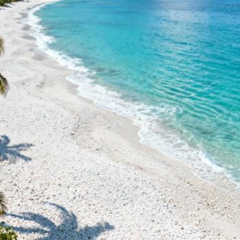 Augustus middag bij Playa Conchal: drie toeristenbussen lossen 240 bezoekers terwijl hotels € 275 per nacht rekenen. Het 1,3 km lange schelpenstrand glinstert onder 32°C middaghitte. Verschuif naar februari om 08:30 en ontdek hetzelfde turquoise water — maar nu leeg, met perfecte 27°C temperatuur en accommodaties voor € 120. Dit is het timing-geheim dat Guanacaste-locals al generaties bewaren terwijl 80.000 jaarlijkse bezoekers de hoogseizoen-drukte kiezen. Het verborgen venster: november-april's transformatie De geografische positie van Playa Conchal aan de noordelijke Pacifische kust creëert een droog klimaat met uitgesproken seizoenverschillen. November tot april biedt 27-32°C met minimale neerslag — ideale condities om het unieke schelpenstrand te ervaren zonder tropische regenbuien. De 1,3 km kuststrook tussen Brasilito en het Westin resort transformeert van drukke toeristische hotspot naar sereen paradijs. Lokale vissers delen het strand met slechts handenvol vroege bezoekers. De Chorotega-visserstradities blijven zichtbaar in plaats van verdrongen door massatoerisme. Februari en maart zijn officieel de piekmaanden van het hoogseizoen. Maar doordeweeks biedt zelfs deze periode kristalheldere stilte vergeleken met weekend-invasies. Waarom het schelpenstrand november-april onthult Visuele glorie zonder parasol-bos Het fijn vermalen schelpenzand — Playa Conchal's iconische kenmerk — schittert helderder in het lagere winterzonlicht. Turquoise water strekt zich uit naar het nabijgelegen Nuutele eiland met kristalheldere zichtbaarheid tot 15 meter diep. De glinsterend witte schelpen contrasteren met levendig groene palmbomen zonder dat mensenmassa's het Instagram-moment blokkeren. Februari tot maart biedt de beste fotografie-condities: 08:00 ochtendlicht vangt de gouden gloed zonder middaghitte-waas. Snorkelen zonder queue-stress De droge seizoen's kalme zee transformeert Conchal in snorkelparadijs. Zeeschildpadden verschijnen regelmatig tussen november-april zonder dat 50 andere snorkelaars het zicht blokkeren. Lokale operators bieden € 30 excursies naar verborgen spots die zomerbezoekers missen door hogere golfslag. Grace Bay's vergelijkbare timing-geheim bevestigt dit Caribische patroon. De concrete ervaring: februari om 08:30 Accommodatie-strategie Hotels in Brasilito — het aangrenzende visserdorpje — bieden februari-kamers vanaf € 70 versus € 200 in december. Het Westin Playa Conchal resort daalt van € 600 naar € 350 per nacht buiten kerst-nieuwjaar piek. Vroeg boeken garandeert beste deals terwijl last-minute december-boekingen vaak uitverkocht zijn. De nabijgelegen golfbaan Garra de León hanteert februari greenfees van € 120 versus € 180 in januari. Gastronomische timing Lokale restaurants serveren verse zeevruchten zonder toeristen-markup. Ceviche voor € 10, gallo pinto ontbijt € 8, versus € 20-40 in hoogseizoen resortrestaurants. Mercado Municipal in Brasilito — 2 km wandeling — opent om 07:00 met dagverse vangst. Pink Beach's timing-strategie toont vergelijkbare voordelen. Het kostenverschil dat locals niet delen De € 155 per nacht besparing transformeert een weekreis van € 1.925 naar € 840 accommodatiekosten — vrijwel identiek aan vliegticket Amsterdam-Liberia. Jetski-verhuur daalt van € 50 naar € 35 per uur. Het timing-geheim accumuleert: wie februari kiest versus kerstvakantie bespaart gemiddeld € 1.400 op dezelfde 7-daagse ervaring. Superieur weer en lege stranden komen gratis bij deze kostenbesparing. Anna de Vries, reisbureau specialist Costa Rica, bevestigt: "Doordeweeks geniet je van een rustig strand, in het weekend veel locals; ideaal voor een authentieke ervaring." Bretagne's turquoise stranden volgen hetzelfde seizoenspatroon. Jouw vragen over Conchal, Costa Rica beantwoord Wanneer precies boeken voor november-april? Boek minimaal 4 maanden vooruit voor februari optimaal. Liberia Airport ligt 50 km afstand — 1 uur rijden, taxi € 50-70. Huurwagen-optie vanaf € 35 per dag transformeert mobiliteit naar nabijgelegen stranden en nationale parken. Is regenseizoen echt onbruikbaar? Mei-oktober brengt tropische regenbuien maar ook 40% lagere prijzen en groene landschappen. Voor avonturiers die middagbuien tolereren: authentiekere ervaring met minimale drukte. September-oktober zijn natst, mei-juni bieden balans. Hoe verhoudt Conchal tot Tamarindo? Tamarindo — 60 km noordelijk — biedt surf-cultuur en bruisend nachtleven maar mist het unieke schelpenstrand. Conchal focust op rustige luxe en natuurlijke schoonheid. Surfers Paradise's timing-hack illustreert vergelijkbare lokale strategieën. Februari om 08:30. Turquoise golven spoelen over miljoen glinsterend witte schelpen terwijl palmbomen zachtjes wuiven in 27°C perfectie. Geen toeristenbus verstoort de stilte. Dit is Playa Conchal zoals Guanacaste-locals het kennen — het timing-geheim dat 80.000 hoogseizoen-bezoekers missen.