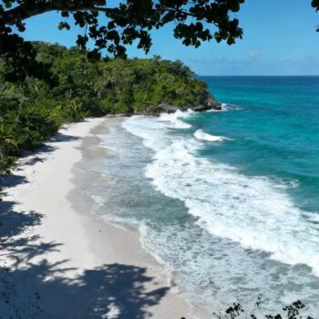 Augustus om 10:00 uur bij El Zaino. Shuttlebus drie van vandaag lost 47 toeristen terwijl de Colombiaanse zon al 28°C bereikt. Iedereen volgt dezelfde route: 1 uur naar Arrecifes, 20 minuten naar La Piscina, 20 minuten naar Cabo San Juan. Dit is hoe 90% van 6.900 dagelijkse bezoekers Tayrona ontdekt - samen. Zeven kilometer westelijk ligt de Calabazo-ingang waar slechts een handjevol mensen de 2,5 uur jungle-route naar Playa Brava neemt. Hetzelfde park, identieke stranden, radicaal verschillende ervaring. November 2025 transformeert deze timing-paradox in jouw grootste avontuurvoordeel. De timing-paradox: waarom 6.900 bezoekers dezelfde 2 uur kiezen Het boekingssysteem toont de eerste misleiding. Beide ingangen kosten identiek € 12,50, beide openen om 08:00 uur. Maar 547 van de 610 dagelijkse online reserveringen gaan naar El Zaino. Google Maps toont El Zaino als hoofdingang terwijl Calabazo 7,2 kilometer westelijk verscholen blijft. De € 3,80 shuttlebus vanaf El Zaino naar het wandelpad versterkt het gemak. Binnen 75 minuten bereik je Arrecifes strand waar de mensenstroom begint. Calabazo vereist 2,5 uur wandelen voordat je Playa Brava ziet. Geen shuttle, geen shortcuts. Alleen jungle en capibara's die jouw pad kruisen. Vergelijkbaar met Pink Beach's timing-geheimen, ontdekt slechts 10% deze route. De Calabazo-route: hoe 2,5 uur jungle je 88% minder bezoekers oplevert De eerste uren: jungle-immersie vs toeristen-file Om 08:30 verlaat je Calabazo-ingang in stilte. De eerste 45 minuten wandel je door dichte jungle waar rode brulapen schreeuwen tussen lianen. Geen vlonderpaden zoals bij El Zaino - gewoon aarde, wortels, en het occasionele motortaxi-spoor. Bij El Zaino lopen op hetzelfde moment 180 bezoekers over goed onderhouden trails richting Arrecifes. Wildlife-kansen bij Calabazo: 78% voor brulaapgroepen, 45% voor capibara's. Bij El Zaino respectievelijk 32% en 12%. Playa Brava: het contrast-moment Na 2,5 uur opent de jungle zich naar Playa Brava waar wilde golven het 400 meter strand geselen. Zwemverbod-borden waarschuwen, maar het visuele spektakel overtreft La Piscina's kalme wateren waar 90 toeristen al parasols hebben geplant. Vanaf Playa Brava: 2 uur naar El Pueblito-site, dan 1 uur naar Cabo San Juan. Het iconische eindpunt dat iedereen bereikt, maar jij via de achterdeur. Net als Grace Bay's seizoensstrategie, draait timing om exclusiviteit. De praktische vergelijking: waarom € 20 parkeren Calabazo's leegte verklaart Kosten-analyse: identiek maar verschilt in perceptie Entreekaarten kosten identiek € 12,50. Parkeren € 20 per dag voor beide. Shuttlekosten bij El Zaino € 3,80, bij Calabazo geen optie. Totale wandeltijd El Zaino: 2 uur naar Cabo San Juan. Calabazo: 5,5 uur via Playa Brava. Dagelijkse bezoekers: El Zaino 6.210, Calabazo 690. De perceptie van moeilijkheid houdt massa's weg. Locals weten beter. Volgens parkranger Juan Díaz: "Calabazo is de route van de Tairona-indianen. Toeristen die hier lopen, respecteren de stilte." Het wildlife-venster: waarom 06:30 beide routes transformeert Vroege ochtend en na zonsondergang bieden maximale wildlife-kansen. Capibara's, kaaimannen, en 200+ vogelsoorten vermijden mensenmassa's. Bij Calabazo betekent 06:30 start pure jungle-geluiden. Bij El Zaino betekent het 40 andere vroege vogels die hetzelfde artikel lazen. Timing bepaalt ervaring, niet alleen bestemming. De Maps.me-strategie: hoe offline navigatie route-onzekerheid oplost Reizigers benadrukken Maps.me-app als essentieel navigatie-instrument. De app toont beide Tayrona-routes offline, inclusief de 7,2 km afstand tussen ingangen. Zonder app lijkt Calabazo te ver of te moeilijk. Met app zie je de parallelle routes die bij Cabo San Juan convergeren. De psychologische barrière verdwijnt. Bonus: de app toont camping-locaties waar spontane reserveringen mogelijk zijn. € 25-40 per nacht versus € 275 in nabijgelegen Santa Marta hotels. November 2025 biedt perfecte condities: 26-32°C, slechts 45mm regenval versus 120mm in oktober. Budget-vriendelijk reizen gecombineerd met optimaal weer. Jouw vragen over Parc national de Tayrona, Colombia beantwoord Kan ik beide routes in één dag combineren? Ja, maar start 06:30 bij Calabazo. Wandel 5,5 uur via Playa Brava naar El Pueblito naar Cabo San Juan, dan retour via kortere El Zaino-route (2 uur). Totaal 7,5-8 uur. Waterdichte rugzak met 3L water plus snacks essentieel. Park sluit 17:00 uur. Waarom sluiten beide routes bepaalde dagen in 2025? Tayrona sluit periodiek voor ecologisch onderhoud: 1-15 februari, 1-15 juni, 19 oktober-2 november. Check parquesnacionales.gov.co voor actuele data. Bezoekersaantallen worden gehandhaafd om Sierra Nevada-ecosysteem te beschermen. November valt buiten sluitingsperiodes. Hoe verschilt Tayrona van typische Caribische strand-bestemmingen? Tayrona combineert jungle plus strand in beschermd natuurreservaat sinds park-oprichting. Geen resorts, beperkte dagelijkse capaciteit van 6.900 bezoekers, verplichte routes. Vergelijkbare Caribbean-eilanden bieden strand-toegang zonder jungle-element - maar missen de inheemse Tairona-archeologie rond El Pueblito-site, 500 jaar oud. Om 16:30 bereik je Cabo San Juan via Calabazo-route. Dezelfde turquoise baai, identiek wit zand, maar jouw pad toonde capibara-sporen en brulaap-territoria die de El Zaino-shuttle-gebruikers nooit zagen. Het contrast bewijst: Tayrona's geheim ligt niet in het eindpunt, maar in de lege route ernaartoe.