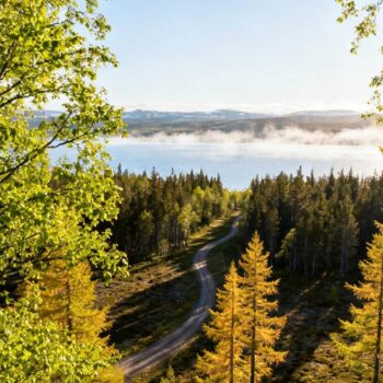 Augustus om 14:00 bij Hallormsstaður betekent volle parkeerplaatsen en € 180 hotels in Egilsstaðir. Verschuif naar mei om 08:30: lege wandelpaden door IJslands grootste bos, perfecte 10°C temperatuur, accommodaties € 100. Dit timing-geheim bewaren de 48 locals terwijl tienduizenden zomerbezoekers de transformatie missen die mei en september onthult in IJslands 740 hectare herbebossingsexperiment. Het Timing-Venster Dat 88% Van IJsland-Reizigers Mist Juli concentreert 70% van alle bezoekers in Oost-IJsland rondom Egilsstaðir. Hotel Hallormsstadur registreert bezettingsgraden van 95% tegen € 180 per nacht. Parkeerplaatsen bij de hoofdingangen zijn vol tegen 11:00. Mei en september bieden identieke toegang tot alle wandelpaden. Temperaturen schommelen tussen 8-12°C, ideaal voor lange wandelingen. Accommodatieprijzen dalen naar € 100-120 per nacht. Zoals een hotelmanager uitlegt: "Hotel Hallormsstadur ligt in het grootste bos van IJsland, een spectaculaire plek die bekend staat om zijn wandel- en fietsroutes." De infrastructure blijft volledig toegankelijk, maar zonder de mensenmassa's die het bos transformeren in een drukke toeristische attractie. Wanneer IJslands Grootste Bos Op Zijn Mooist Is Hallormsstaðaskógur's 740 hectare onthullen hun ware karakter buiten het hoogseizoen. Het herbebossingsproject dat in 1903 startte, toont zijn diversiteit wanneer toeristen weg zijn. Mei's lente-ontluiking toont het 1903-experiment Verse groei maakt zichtbaar welke aangeplante soorten gedijen in IJslands klimaat. Berken krijgen hun eerste bladeren, lariksdennen tonen nieuwe naalden. Deze visuele diversiteit verdwijnt onder het volledige bladerdek van juli. Wandelpaden blijven moddervrij dankzij de nog beperkte regenval. Ochtendmist boven Lagarfljót creëert dramatische lichteffecten tussen 07:30-09:00. September's herfstkleuren transformeren het landschap Berken kleuren goudgeel, lariksdennen krijgen oranje tinten. Dit kleurenpalet contrasteert met de donkergroene naaldbomen die het hele jaar groen blijven. Fotografielicht is optimaal door lagere zonpositie. Geen extreme schaduwen zoals tijdens juli's middernachtzon. Vergelijkbare timing-voordelen gelden voor Lofoten, waar identieke mei-september vensters gelden. Wat Het Echt Kost: € 155 Verschil Tussen Seizoenen Concrete kostenanalyse voor 3 dagen verblijf toont dramatische verschillen tussen mei-september en juli-augustus periodes. Accommodatie-realiteit in Egilsstaðir Hotel Hallormsstadur: € 100-120 per nacht (mei/september) versus € 180-200 (juli/augustus). Lokale guesthouses: € 40-60 versus € 80-100. Airbnb gemiddelde: € 90 versus € 150. Totale accommodatiebesparing 3 nachten: € 120-180 per verblijf. Restaurants hanteren identieke prijzen jaar rond: € 15-30 per hoofdgerecht. Waarom locals mei en september prefereren Een lokale gids die al 20 jaar bezoekers begeleidt legt uit: "Dit was een mooie bos voor een pre-diner lopen. Er zijn wandelingen van veel verschillende lengtes." Hij verwijst naar de kaarten beschikbaar in Egilsstaðir info centrum. Temperaturen van 8-14°C vormen de sweet spot voor lange wandelingen. Wildlife is actiever tijdens deze periodes. Vergelijkbare bosgebieden tonen identieke patronen. De 740 Hectare Waar Niemand Wandelt In Mei Hoofdwandelpaden blijven volledig toegankelijk via Route 1 zonder 4WD vereiste. Parkeervoorzieningen bij alle ingangen zijn leeg tussen 07:00-10:00. Optimale tijdstippen voor mist-effecten boven Lagarfljót: vroege ochtend tussen 07:30-09:30. Hengifoss waterval ligt op 20-30 km afstand voor combinatiedagtrips. Nederlandse natuurgebieden tonen vergelijkbare timing-patronen. Gemarkeerde paden variëren van 1-15 km lengte. Alle routes zijn geschikt voor gemiddelde wandelaars zonder speciale uitrusting. Jouw Vragen Over Hallormsstadur, IJsland – bos van het noorden Beantwoord Is Hallormsstaður toegankelijk in mei en september zonder 4WD? Ja, Route 1 biedt directe toegang tot alle parkeerplaatsen. Geen off-road rijden vereist. Alle hoofdwandelpaden zijn toegankelijk voor normale voertuigen. Binnenlandse vluchten Reykjavík-Egilsstaðir kosten € 100-300 afhankelijk van seizoen. Welke boomsoorten maken het bos uniek sinds 1903? Het bos bevat aangeplante loof- en naaldbomensoorten getest sinds 1903. Berken, lariksdennen, en sparren vormen de hoofdsoorten. Zoals een reisspecialist noteert: "IJsland plant het hoogste aantal bomen per inwoner van de wereld." Dit herbebossingsprogramma maakt Hallormsstaður uniek. Hoe verschilt Hallormsstaður van andere Scandinavische bossen? Als IJslands grootste bos biedt het uniek contrast met het grotendeels boomloze eiland. Andere Scandinavische landen hebben natuurlijke bossen, hier is alles aangeplant. Historische Scandinavische bestemmingen tonen verschillende natuurpatrimonium. Mist danst boven Lagarfljót terwijl berken goudgeel gloeien in september-licht. Hallormsstaður's 740 hectare liggen stil zonder busmotor die de eeuwenoude stilte verstoort. Dit timing-venster onthult IJslands herbebossingsdroom zonder mensenmassa's die het authentieke karakter van het bos overschaduwen.